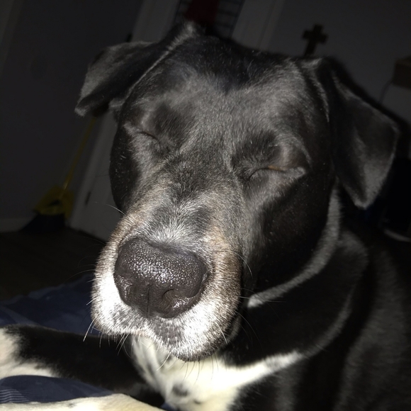 Meet your Posher, Hailey & Kelly. - Picture 6 of 7